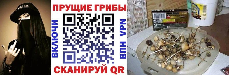 Псилоцибиновые грибы Psilocybe что такое наркотик Сельцо